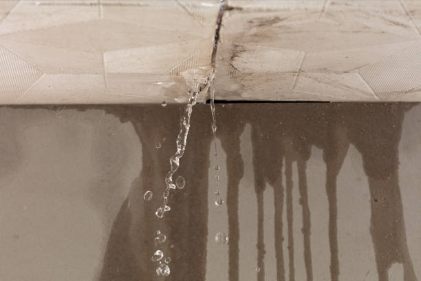 Professional Structural Drying technician working in Lenzburg, IL
